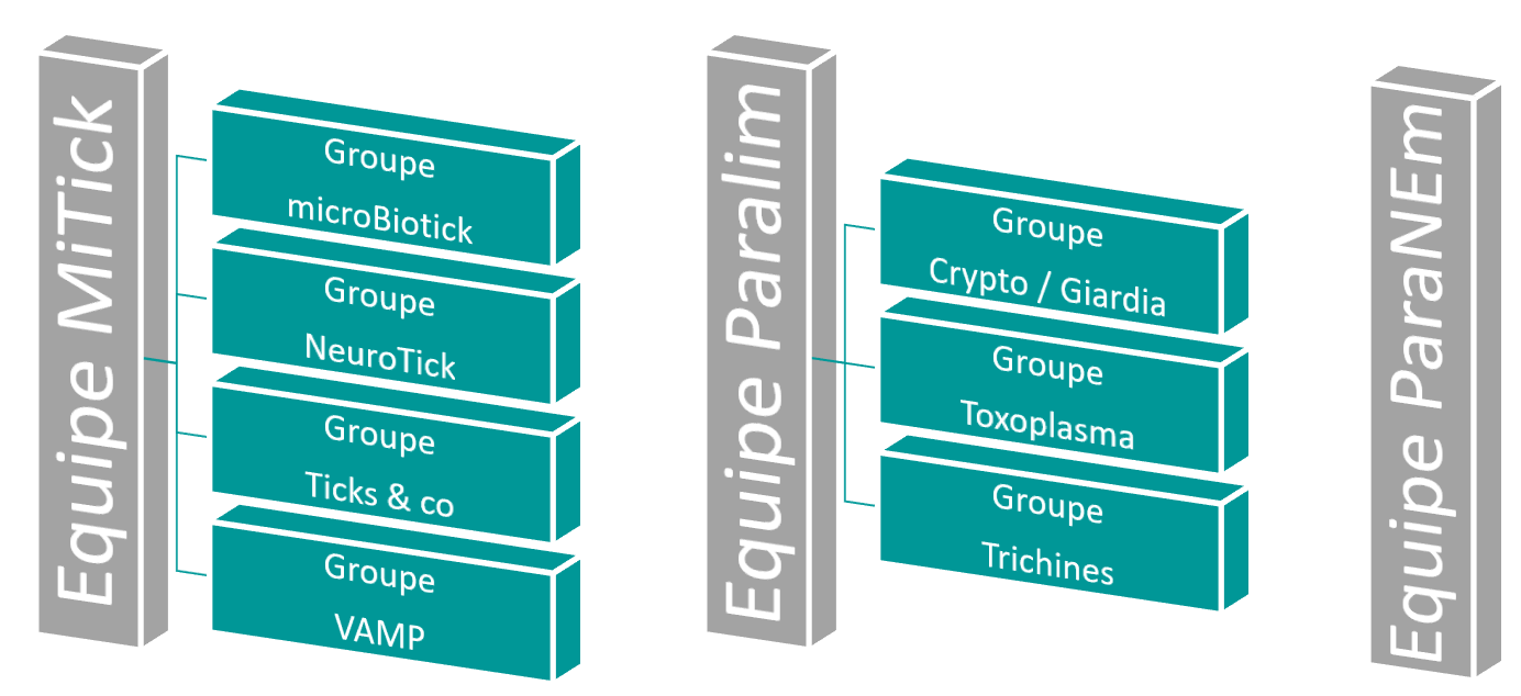 20240612_Fr_Equipe
