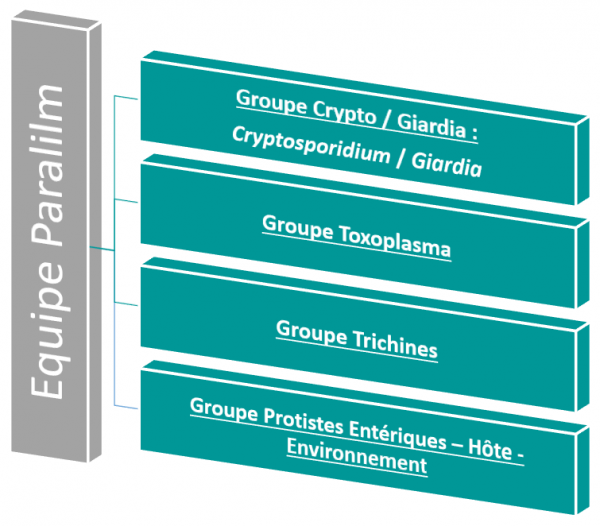 Equipe Paralim_082025_Fr